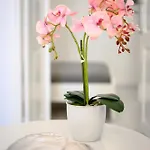 Апартаменты Marillia's Elegance Мессария