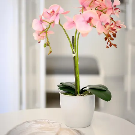 Apartament Marillia's Elegance Mesaria