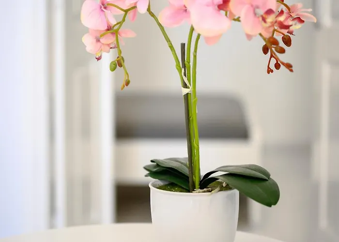 Lägenhet Marillia's Elegance Mesaria